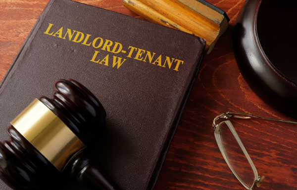 landlord tenant law